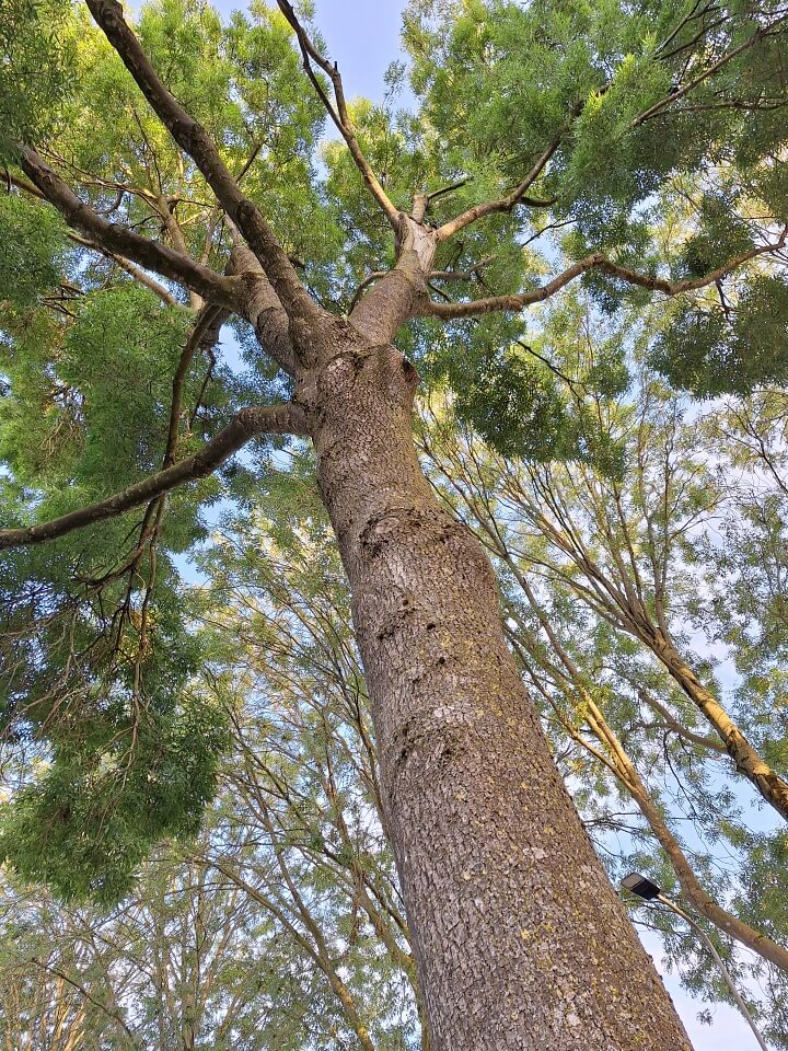 KeeK op de WeeK 29 graden- Wandelen, Mijn Droomhuis, Zwanen en veel Groen! 17 wandelen KeeK op de WeeK 29 graden- Wandelen, Mijn Droomhuis, Zwanen en veel Groen!