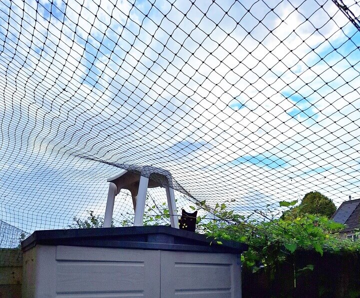 KeeK op de WeeK 31- Een Dikke Poot, Tiramisu en een Zwaar Hondje erbij! 43 utrecht KeeK op de WeeK 31- Een Dikke Poot, Tiramisu en een Zwaar Hondje erbij!